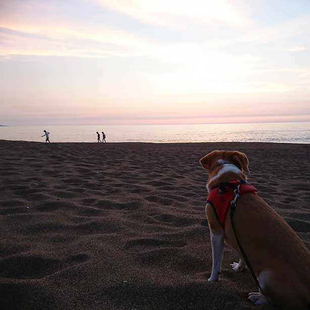福井県あわら市 波松