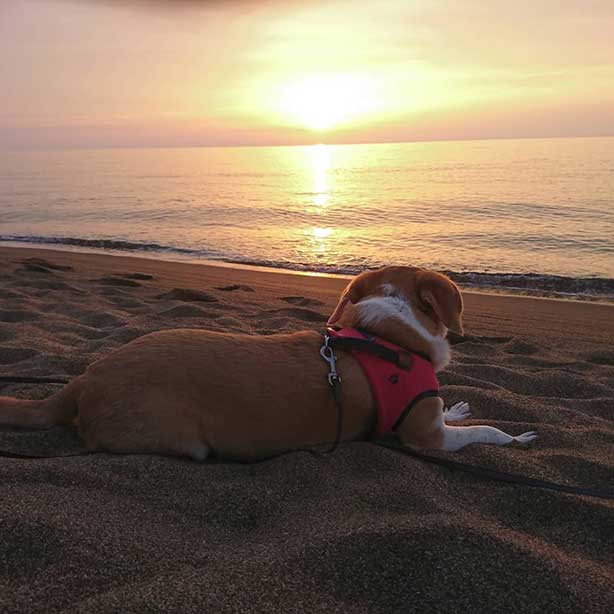 福井県あわら市 波松