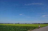 決め写真(看板消し)
