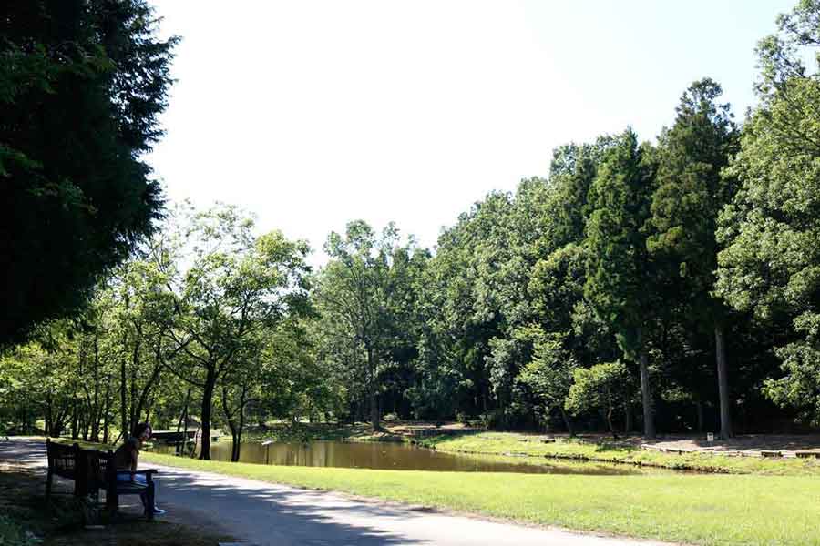 福井県あわら市「アートの森 金津創作の森」