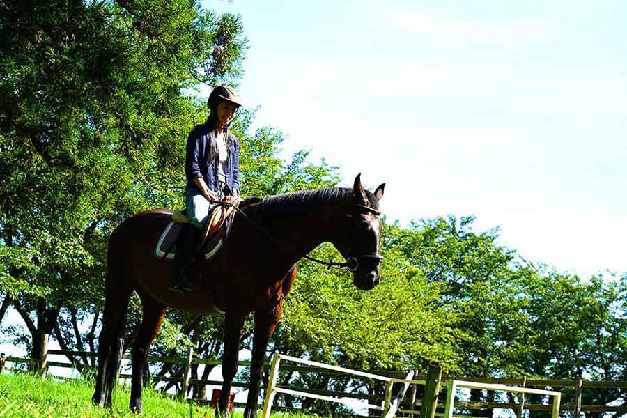 福井県あわら市「乗馬体験 パ・ドゥドゥ」