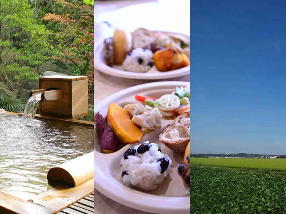 福井県あわら市「あわらでプチ美湯治」