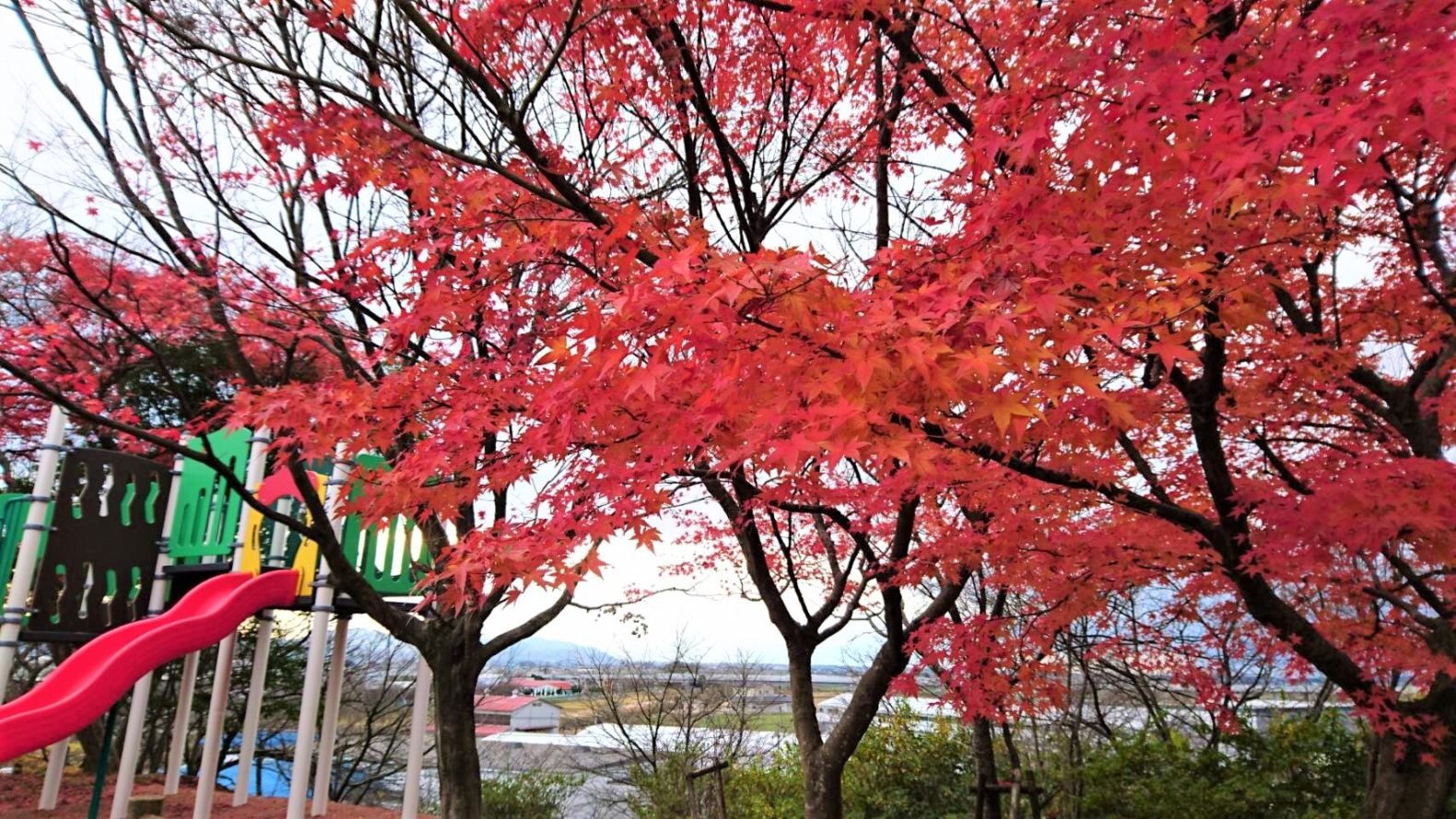 昭和公園（新幹線高架橋を見晴らす遊具（展望台）が誕生！）