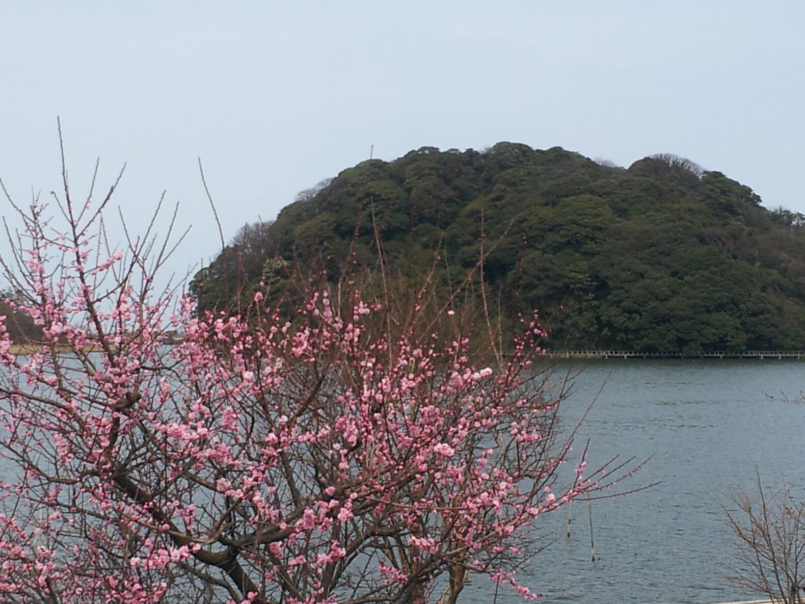 吉崎語り部の会