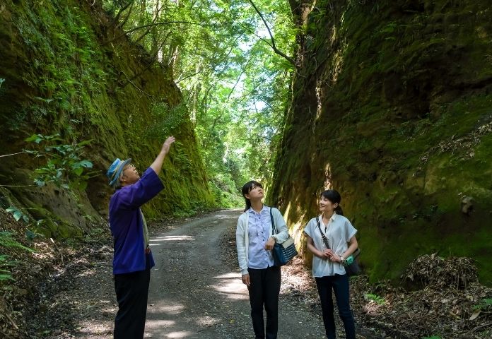 鴫谷山の切通し