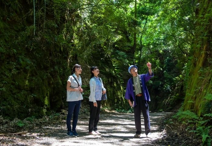 鴫谷山の切通し