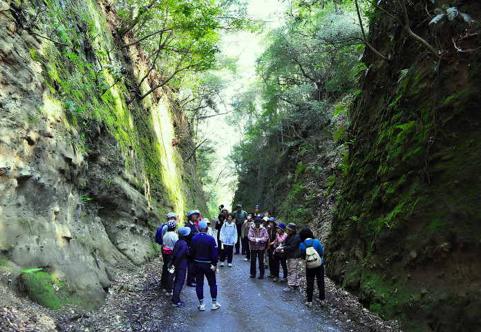 鴫谷山の切通し