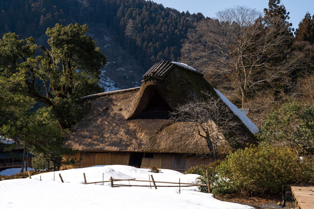 千古の家(坪川家住宅)