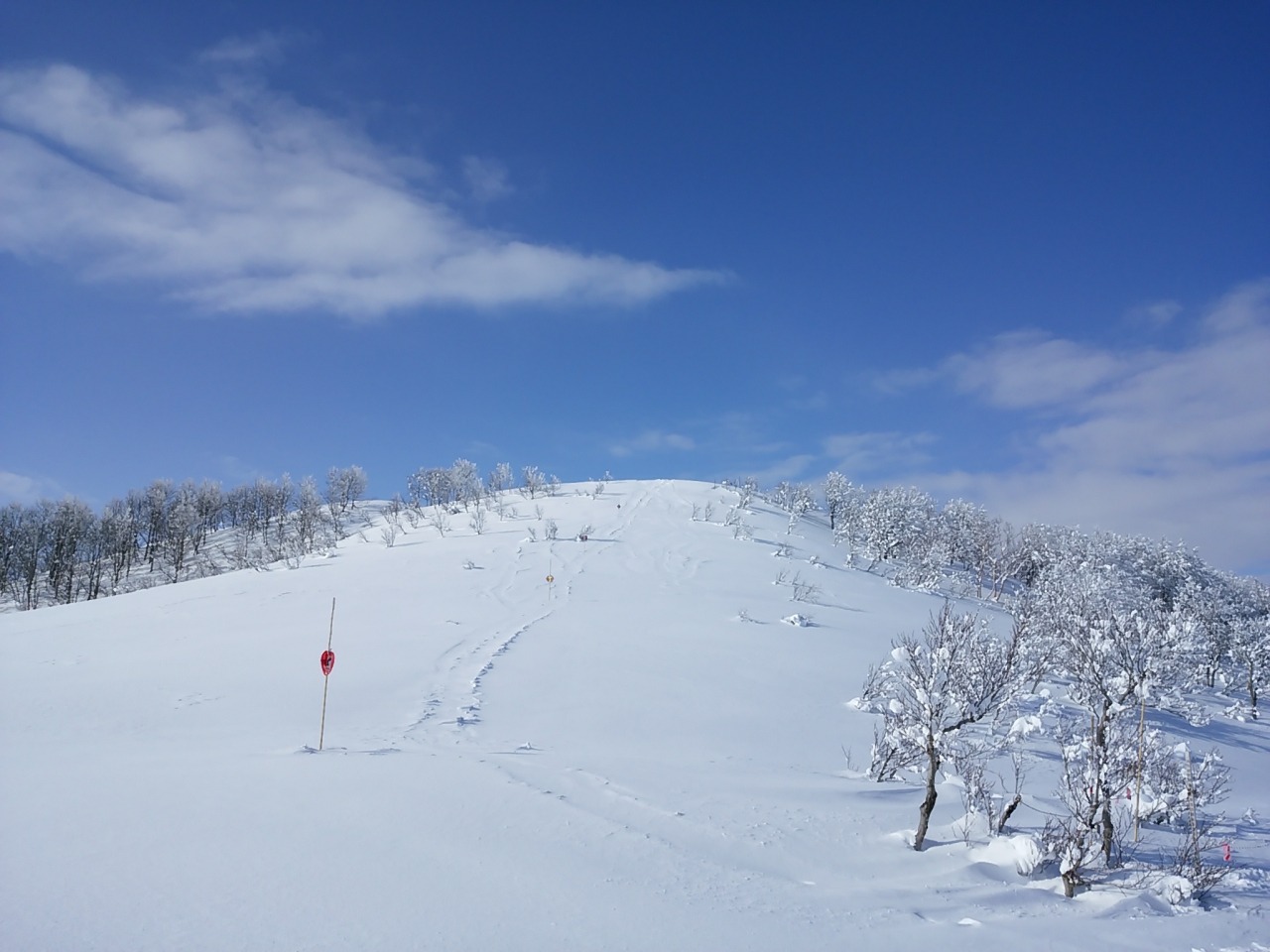 スキージャム勝山　