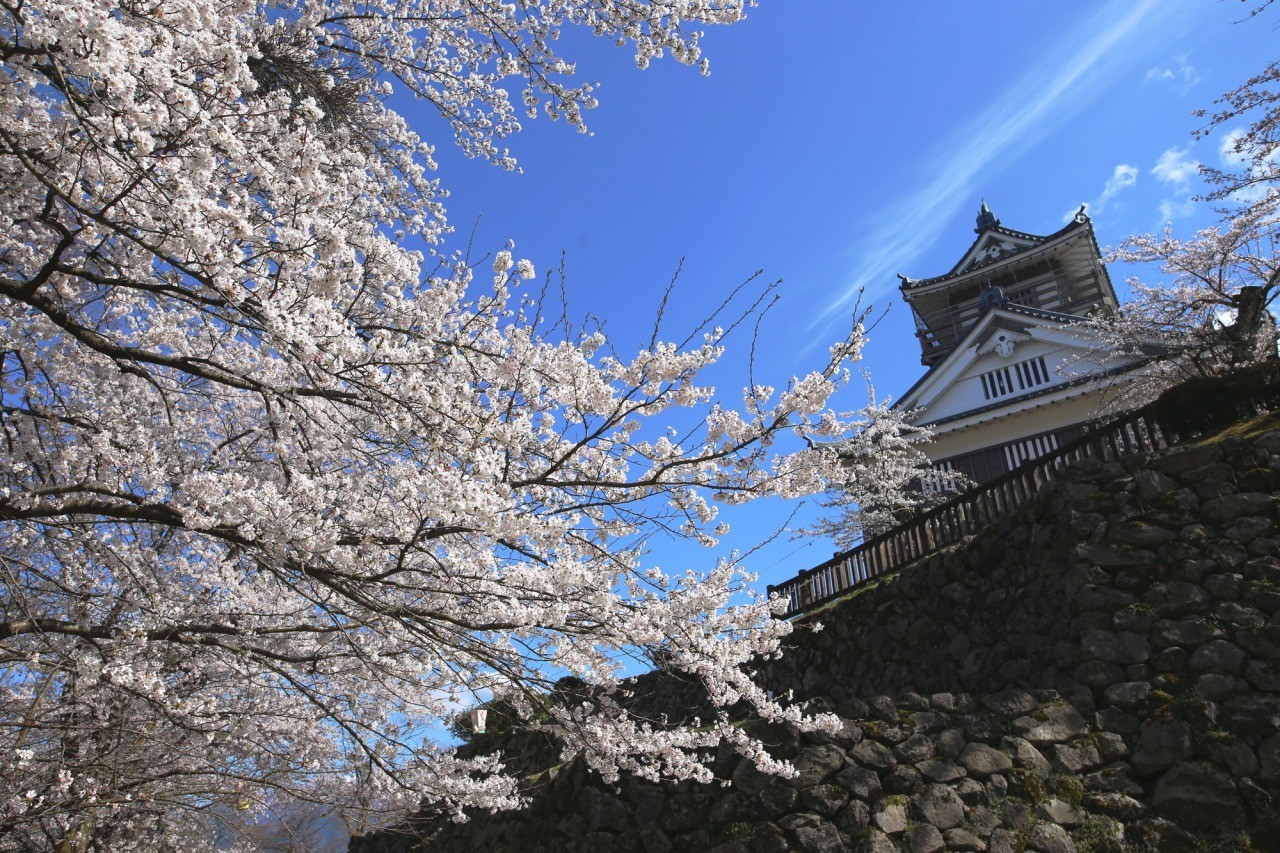 越前大野城