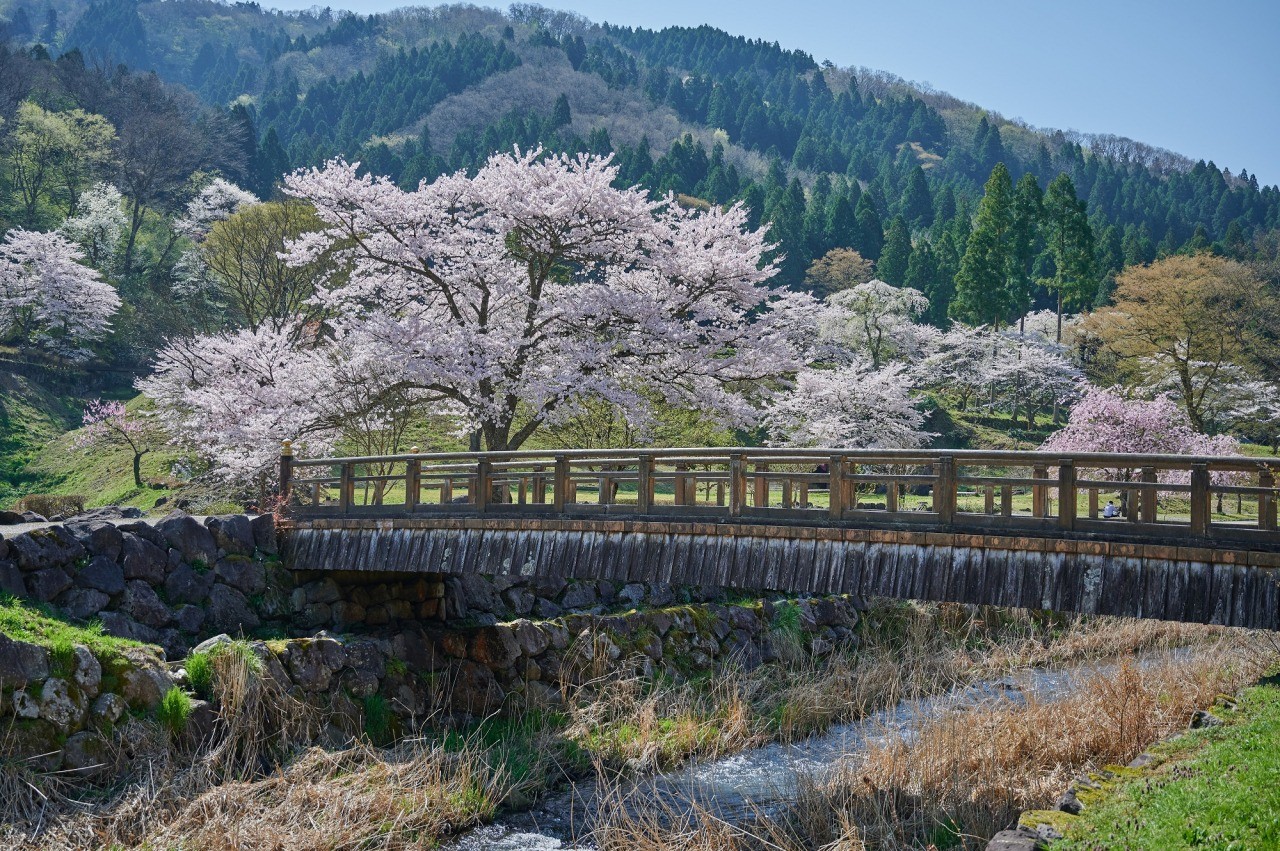 一乗谷朝倉氏遺跡