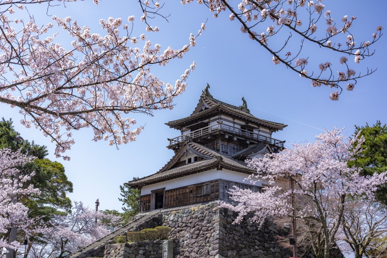 丸岡城