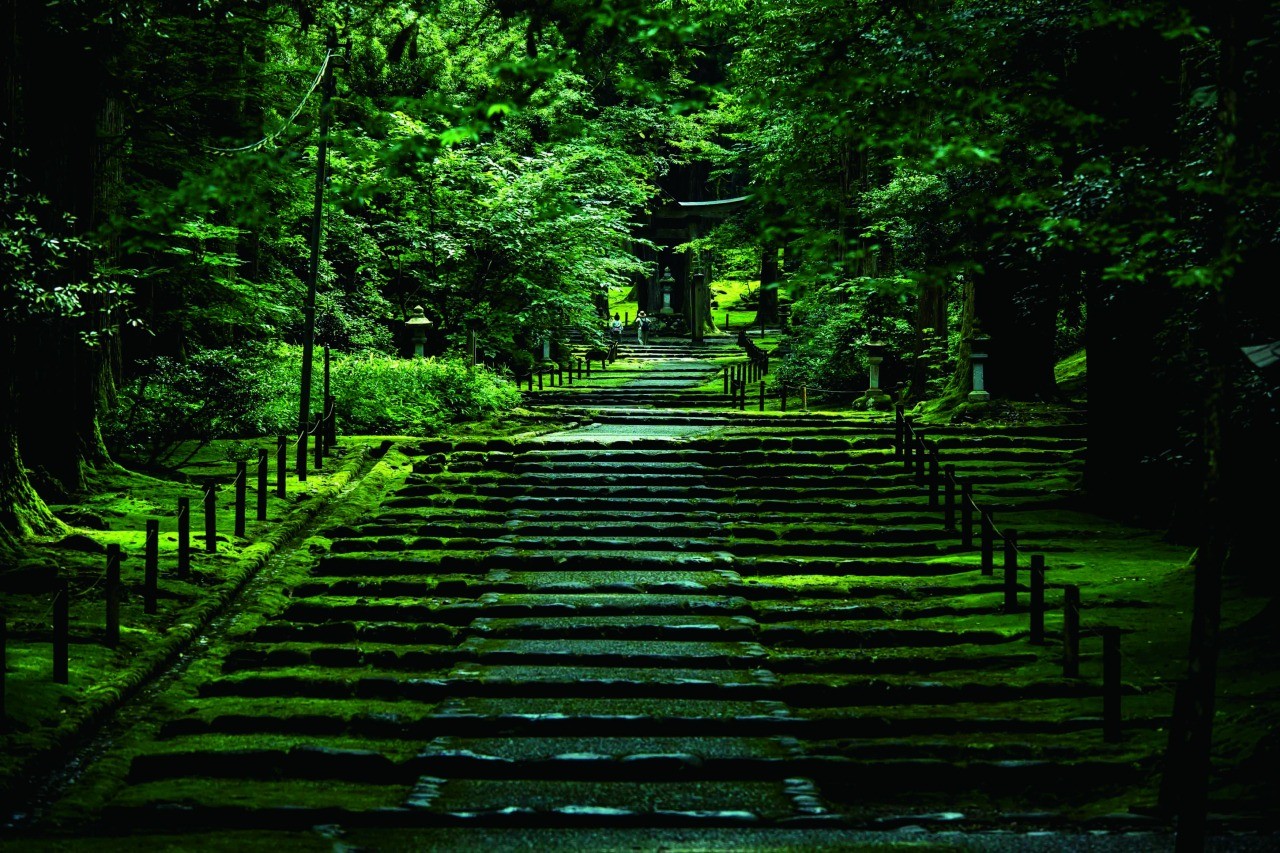 白山平泉寺 / 平泉寺白山神社