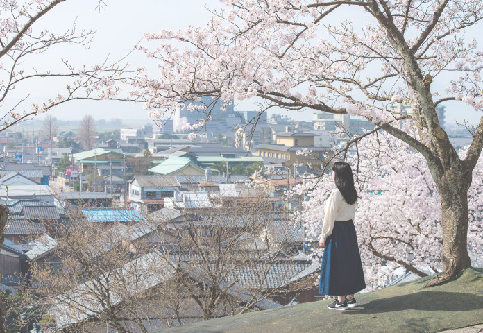 あわら温泉🌸隠れた桜の名所紹介🌸2025年版