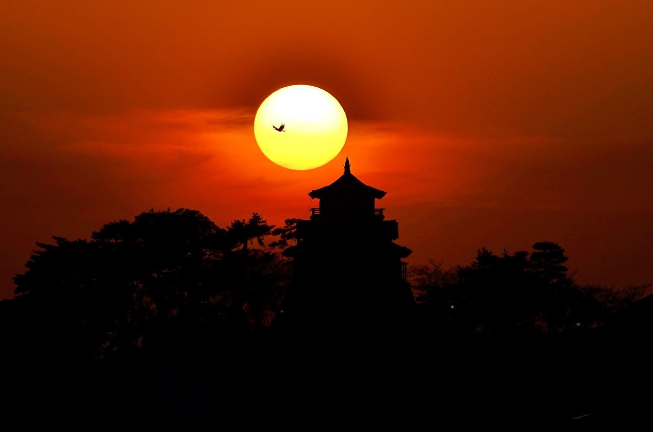 丸岡城