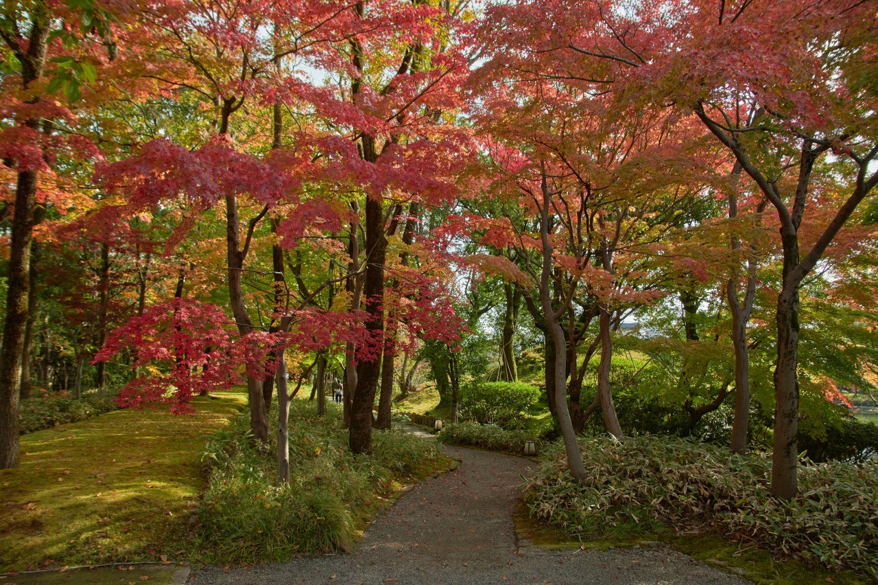 名勝　養浩館庭園