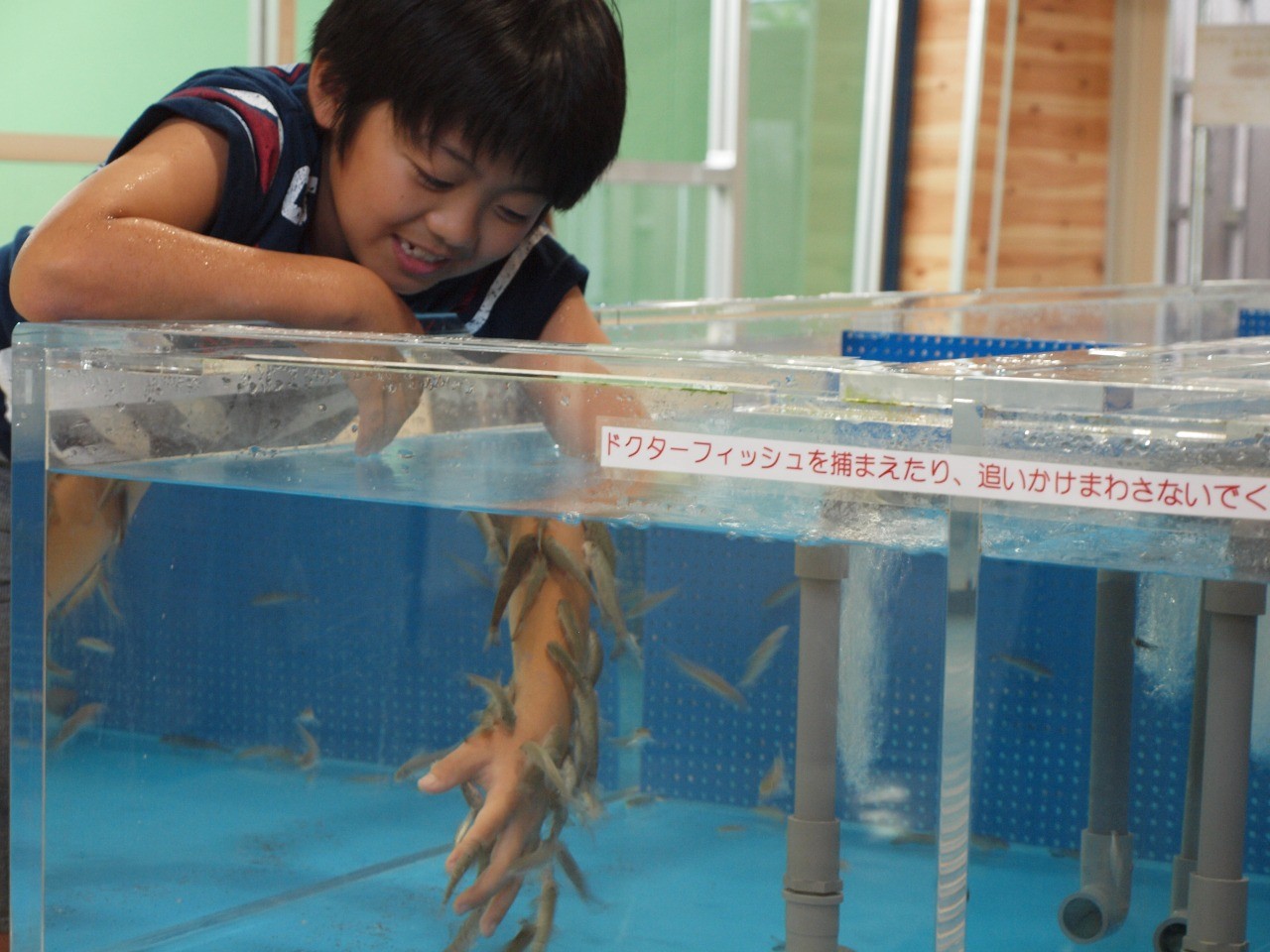 越前松島水族館