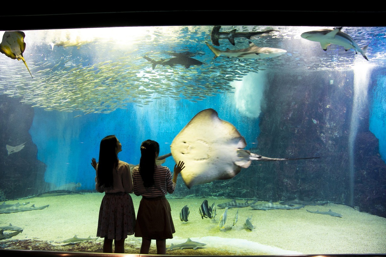 越前松島水族館