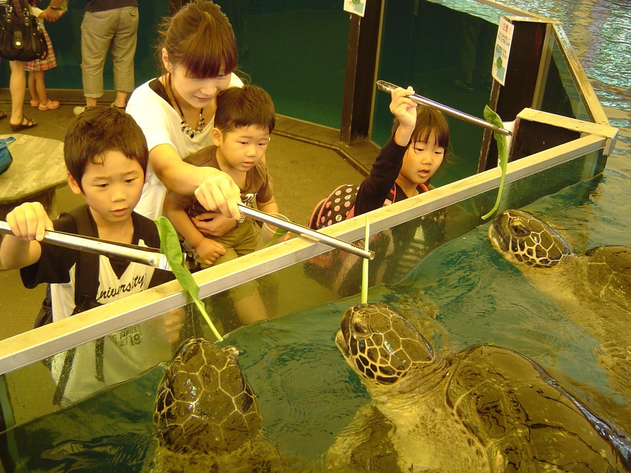 越前松島水族館