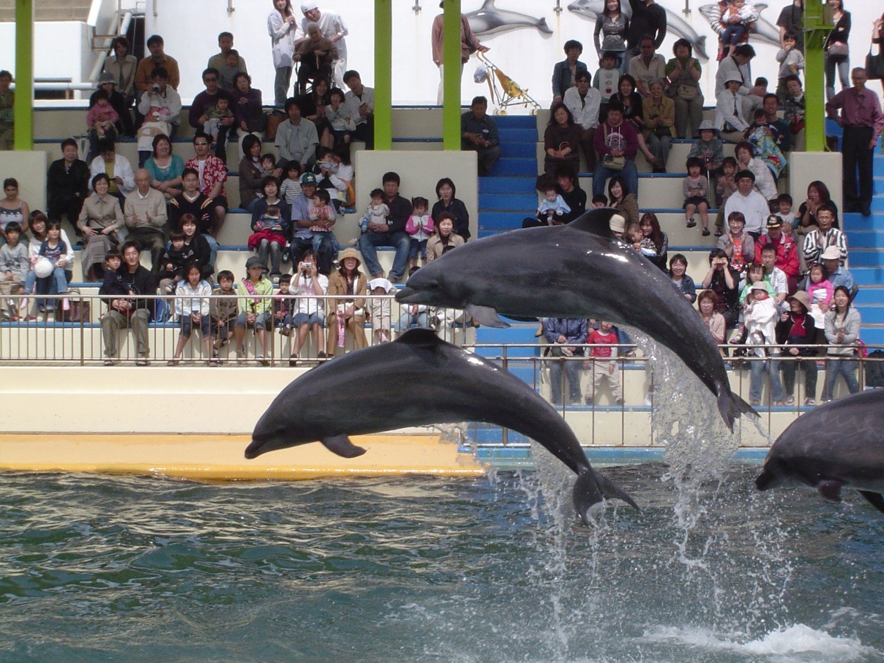 越前松島水族館