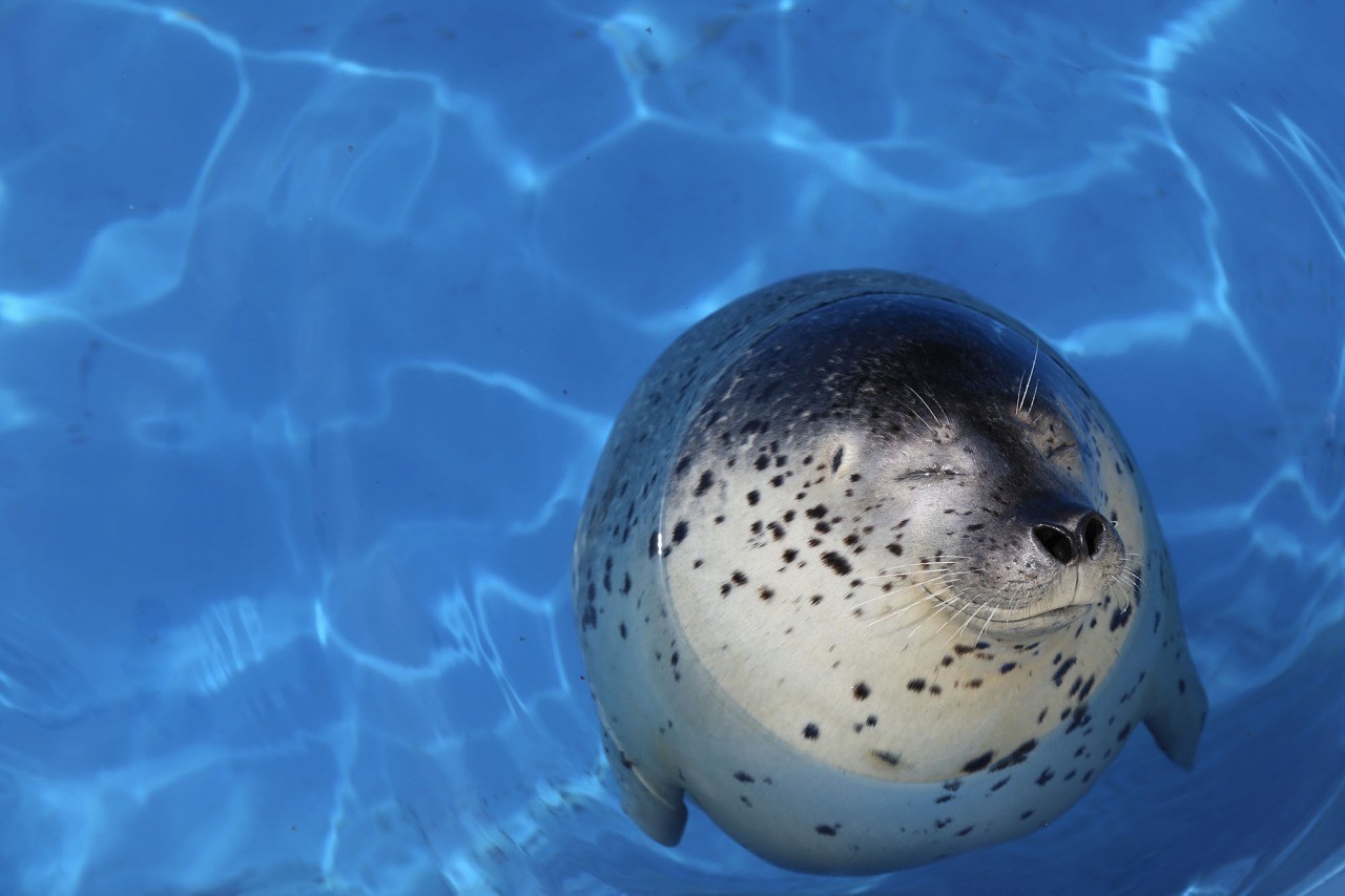 越前松島水族館