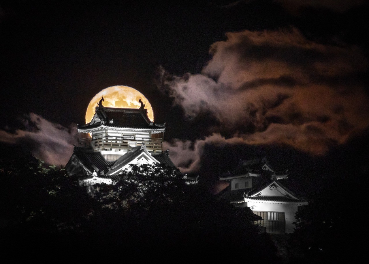 越前大野城　