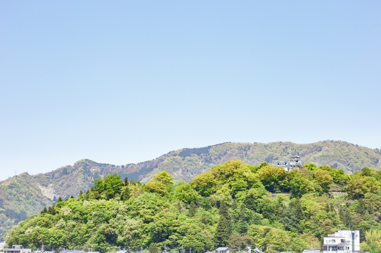 越前大野城　