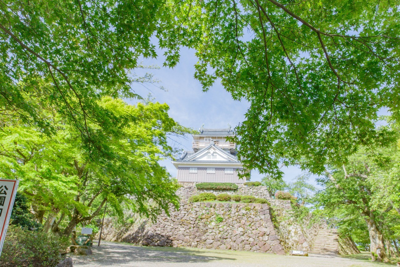 越前大野城　