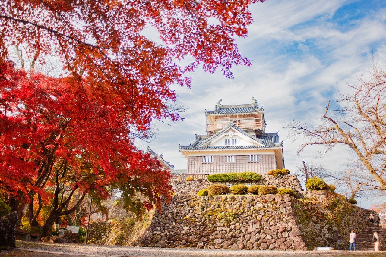 越前大野城　