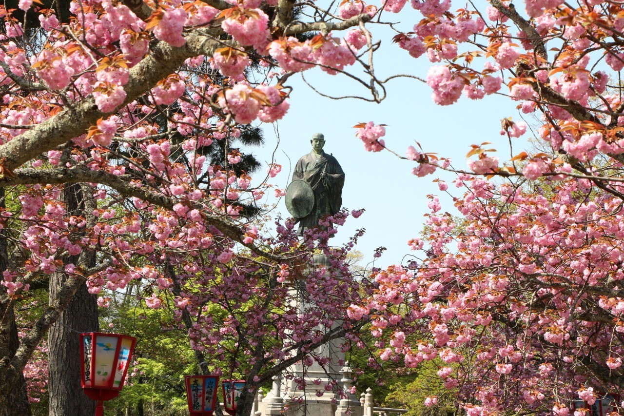 吉崎御坊跡