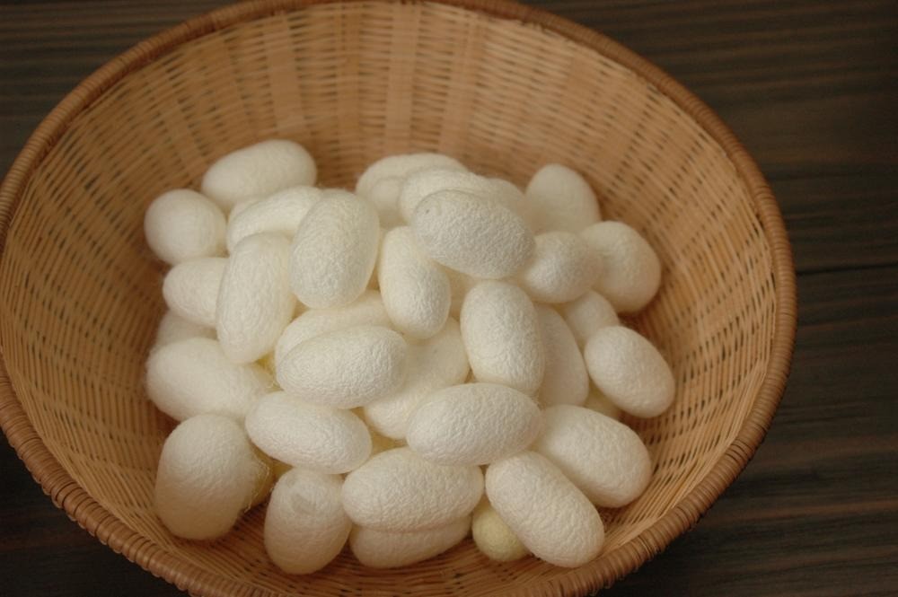 はたや記念館　ゆめおーれ勝山