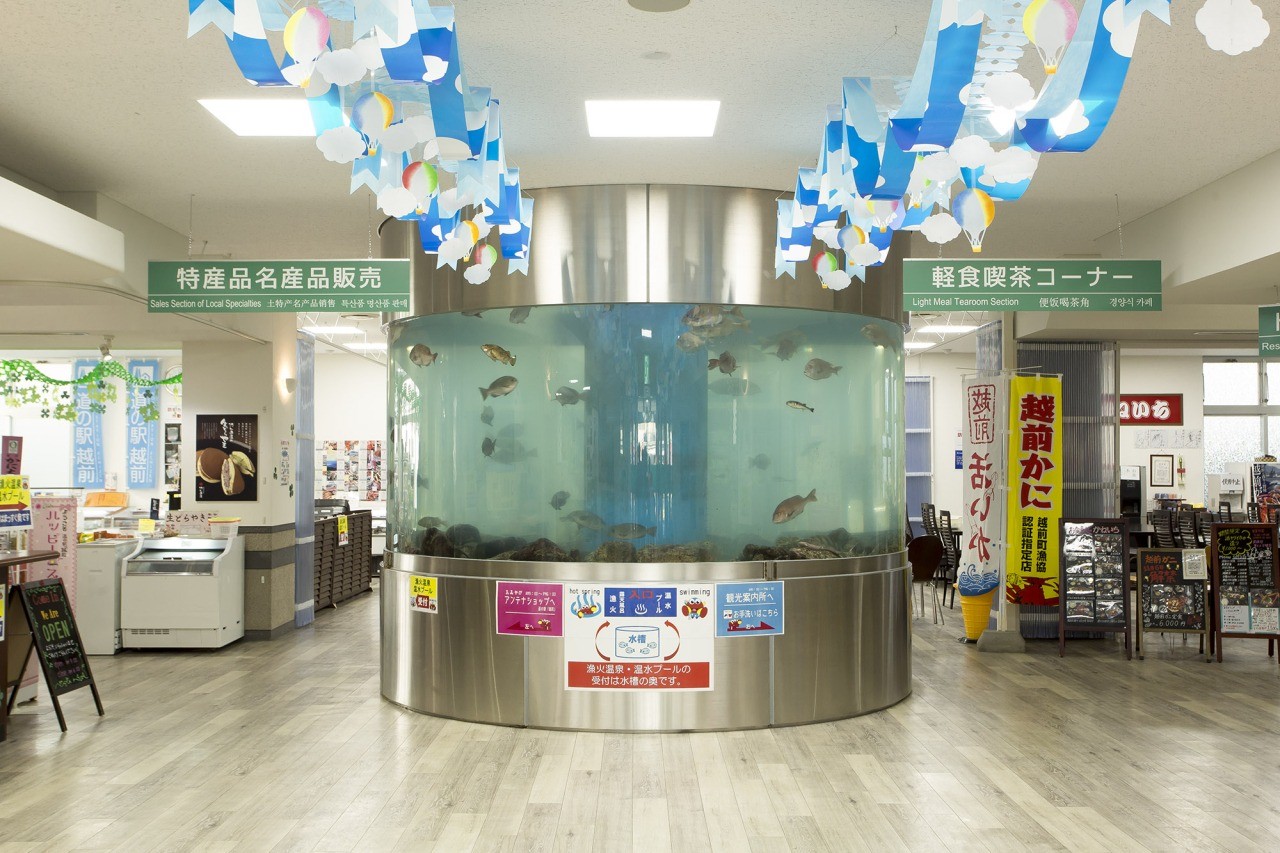 道の駅越前