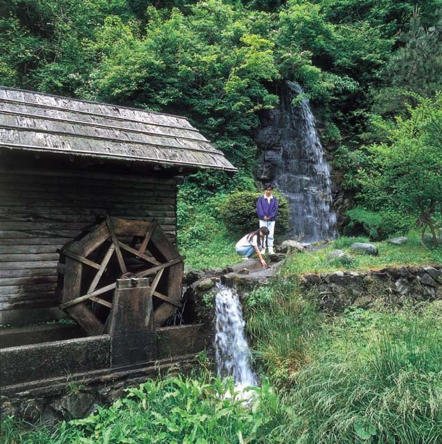 刈安山森林自然公園