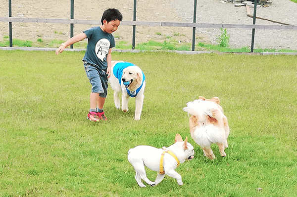 スキージャム勝山 (4月下旬～10月下旬)