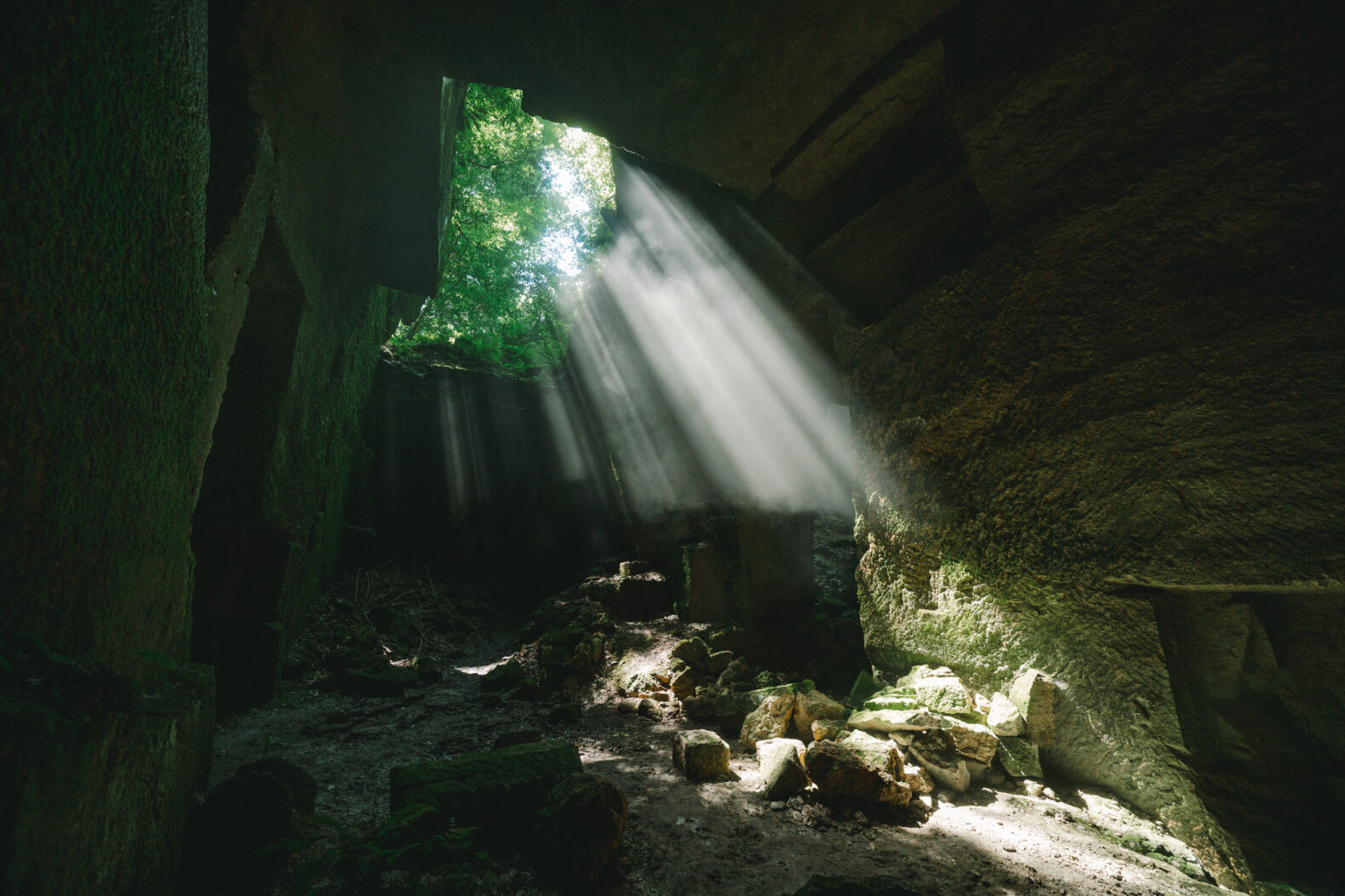 NPO法人細呂木地区創成会