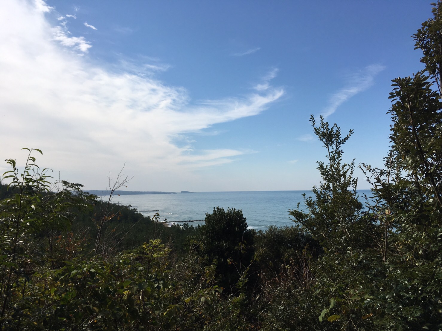 あわらの自然を愛する会