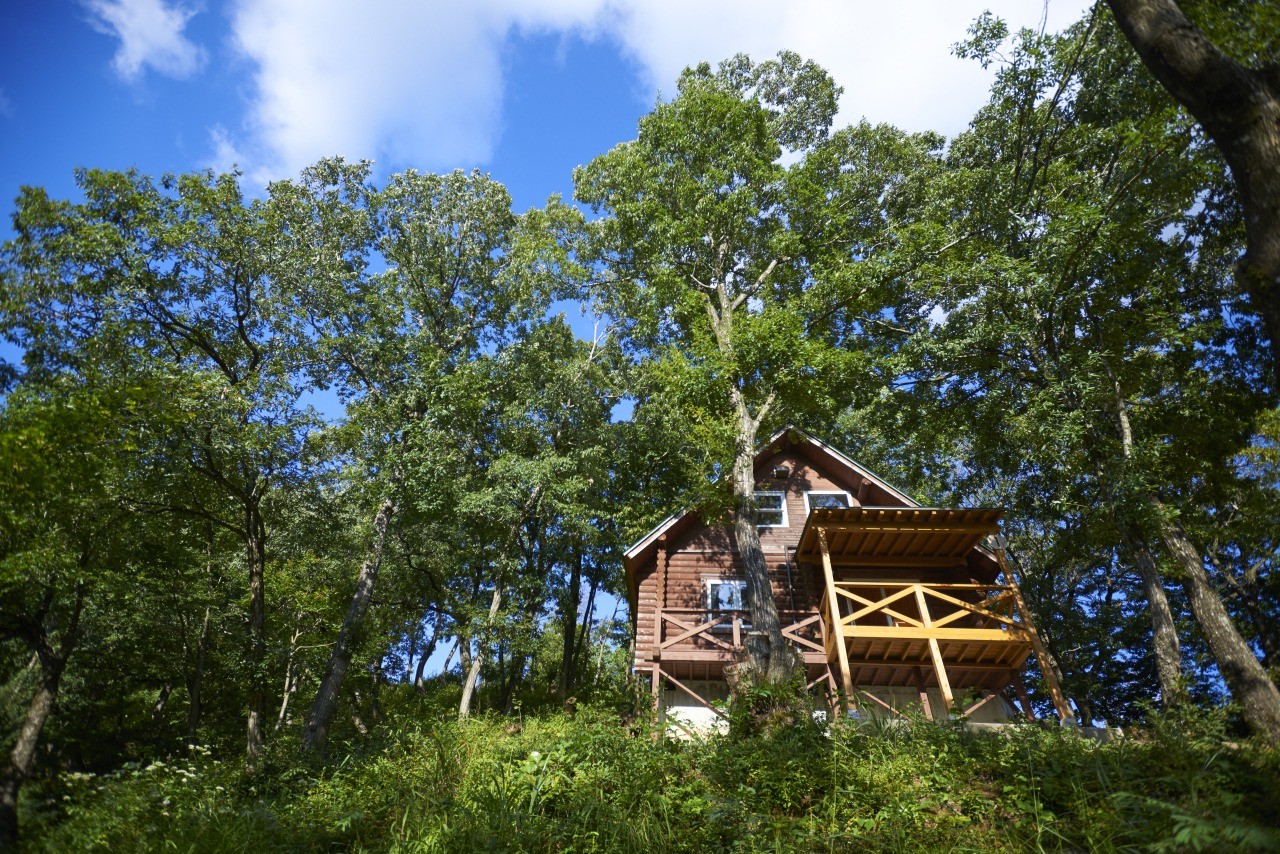 ツリーピクニックアドベンチャーいけだ