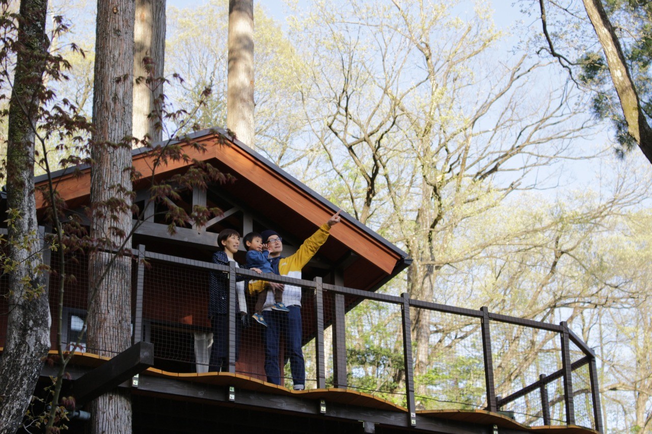 ツリーピクニックアドベンチャーいけだ