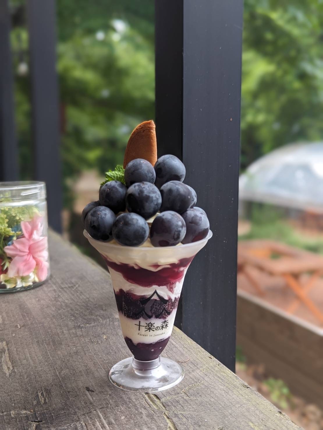 あわら温泉フルーツパークOKAYU（ぶどう狩り）