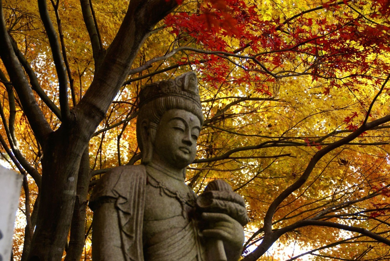 大安禅寺
