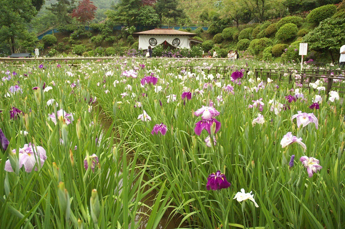 大安禅寺