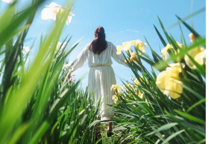 あわら市インスタ映えスポット巡り（初夏～夏編）