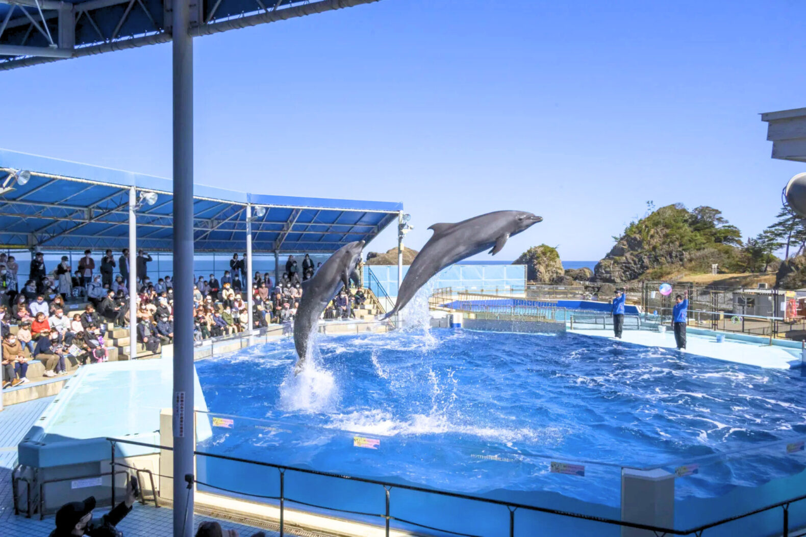 【ファミリー向け】あわら温泉に泊まる！福井恐竜・プール満喫旅