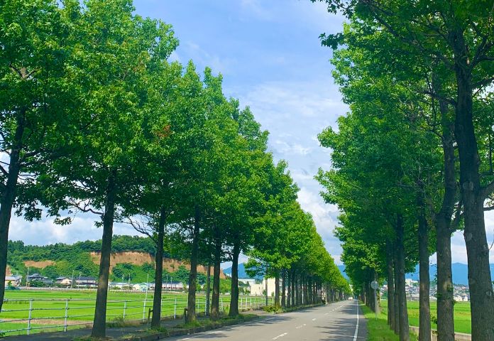 あわら市インスタ映えスポット巡り（初夏～夏編）