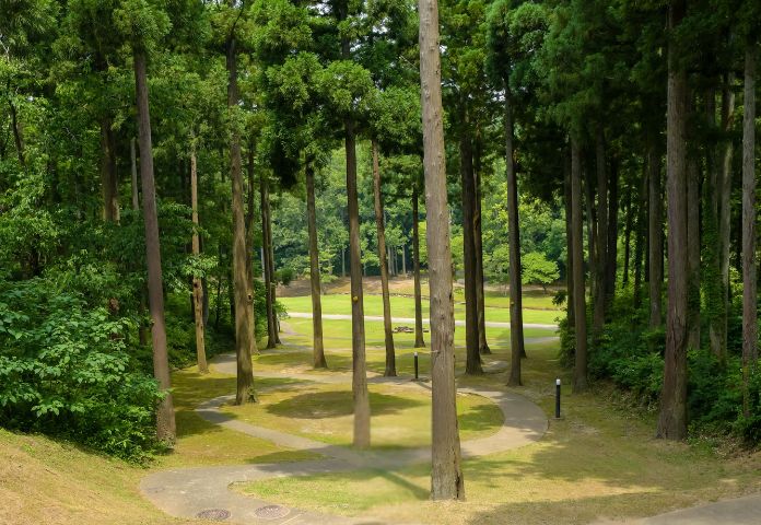 あわら市インスタ映えスポット巡り（初夏～夏編）