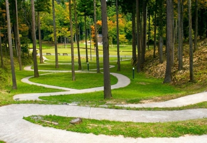 あわら市インスタ映えスポット巡り（秋編）