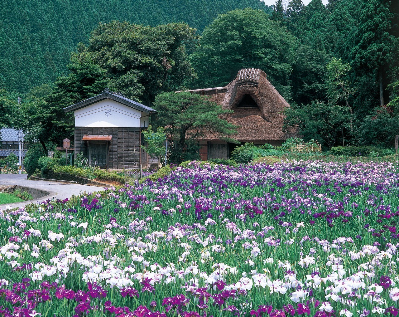 千古の家(坪川家住宅)