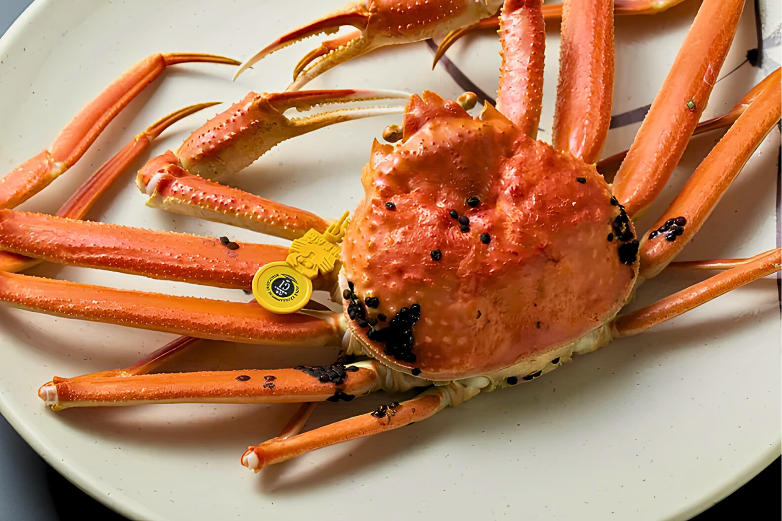 【車ナシ】越前がにを食べに行こう！あわら温泉に泊まる冬の1泊2日旅